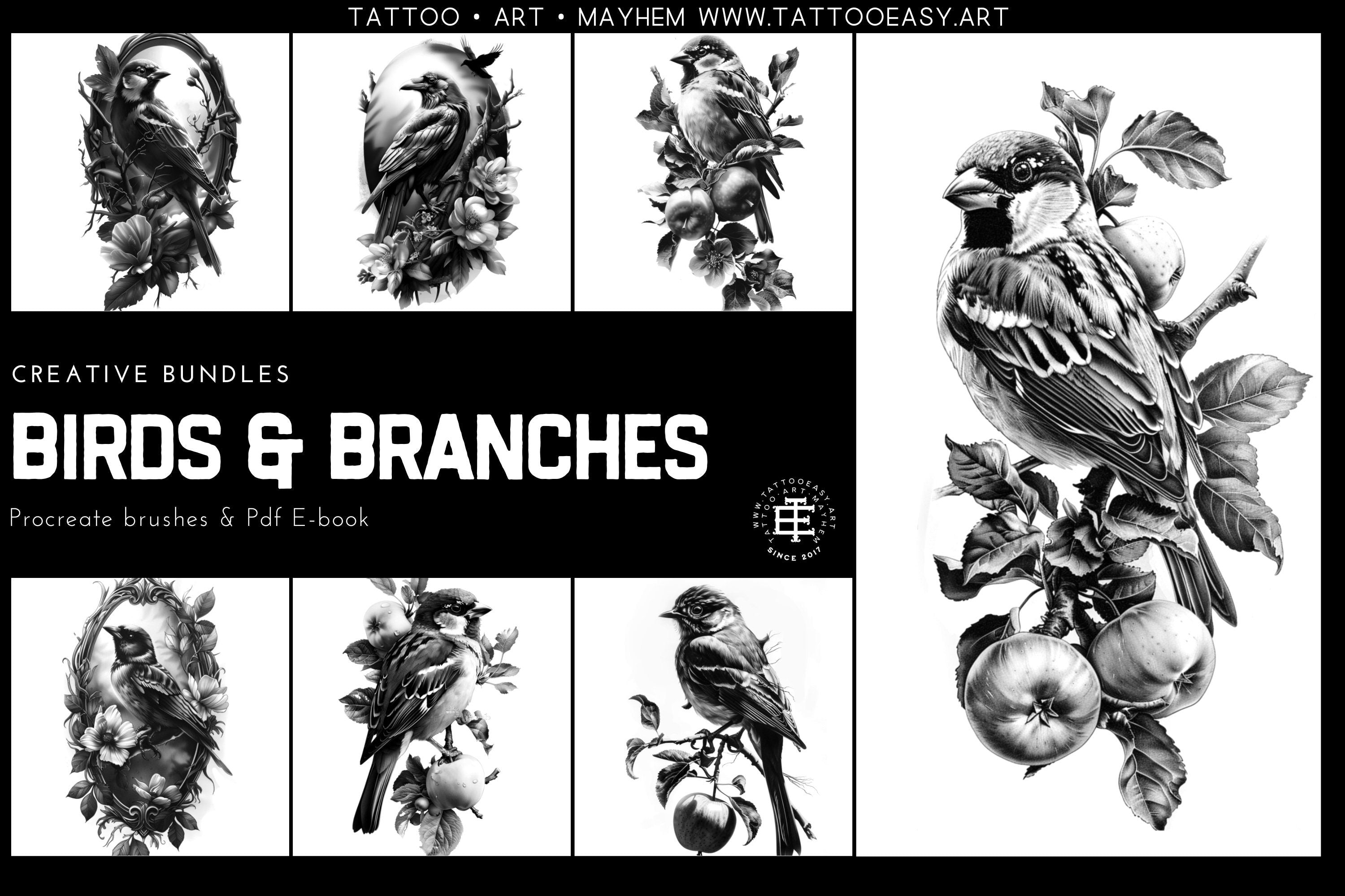 Birds & Branches - references for artists, Procreate and Pdf