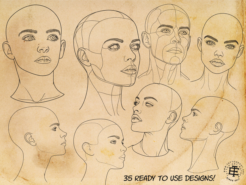 Procreate, Head anatomy, 35 custom made designs ~ ready to use templates