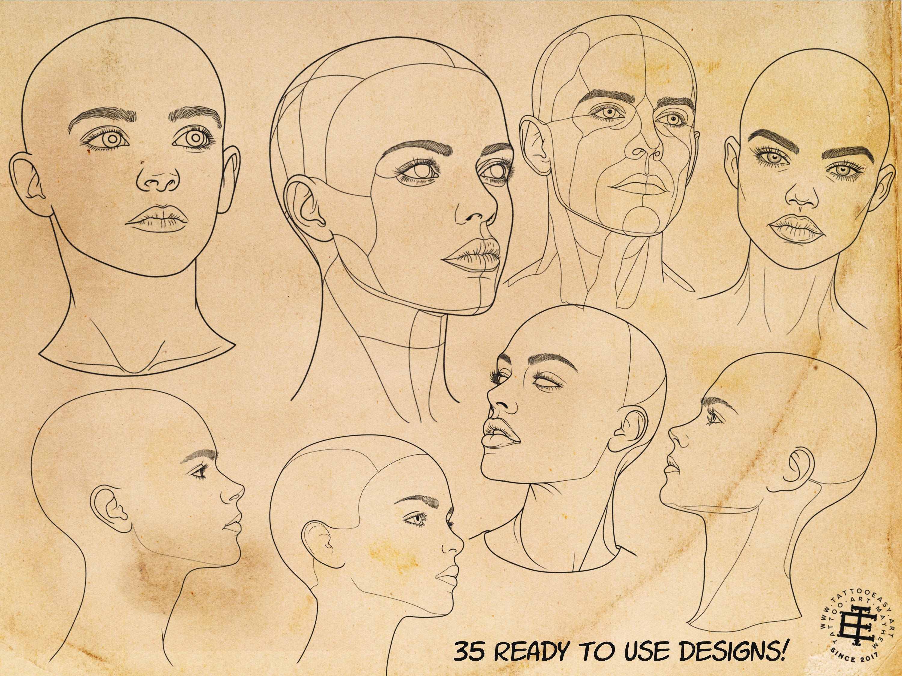 Procreate, Head anatomy, 35 custom made designs ~ ready to use templates
