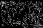Procreate - Garden Essentials, Tattoo Leaves & Flowers, Fineline, hand drawn, Commercial Use