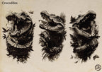 Procreate, 100 tattoo ideas ~ custom references