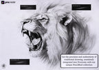 PencilReal ~ realistic pencil brush bundle for Procreate, XL creative kit!