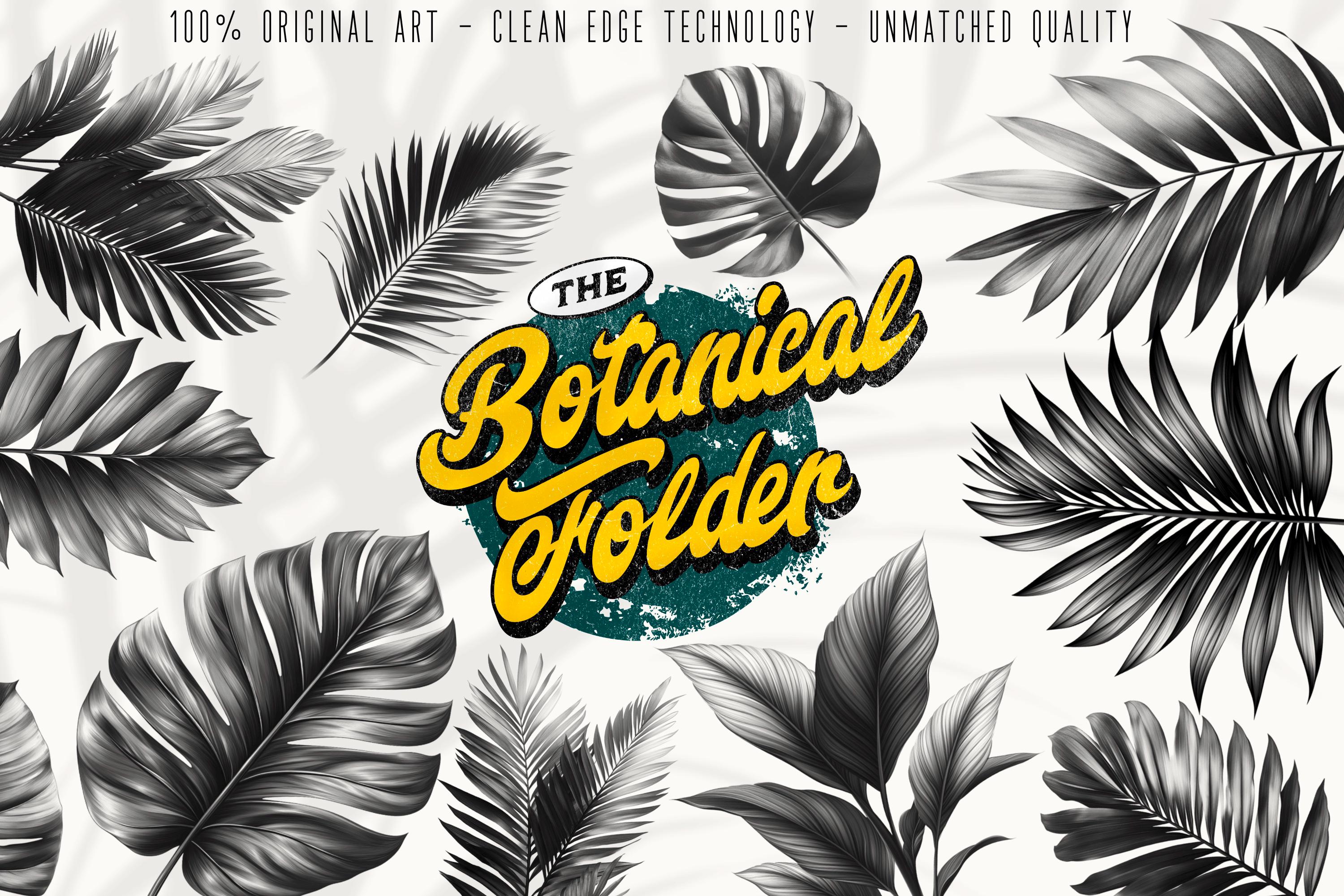 Botanical Art Bundle: 3000+ Procreate Brushes, PNG & SVG Files