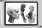 Procreate Tattoo Stamps: 145 Body Part Brushes for Tattoo Design