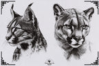 Animal Kingdom Procreate Stamps: PNG & SVG Files