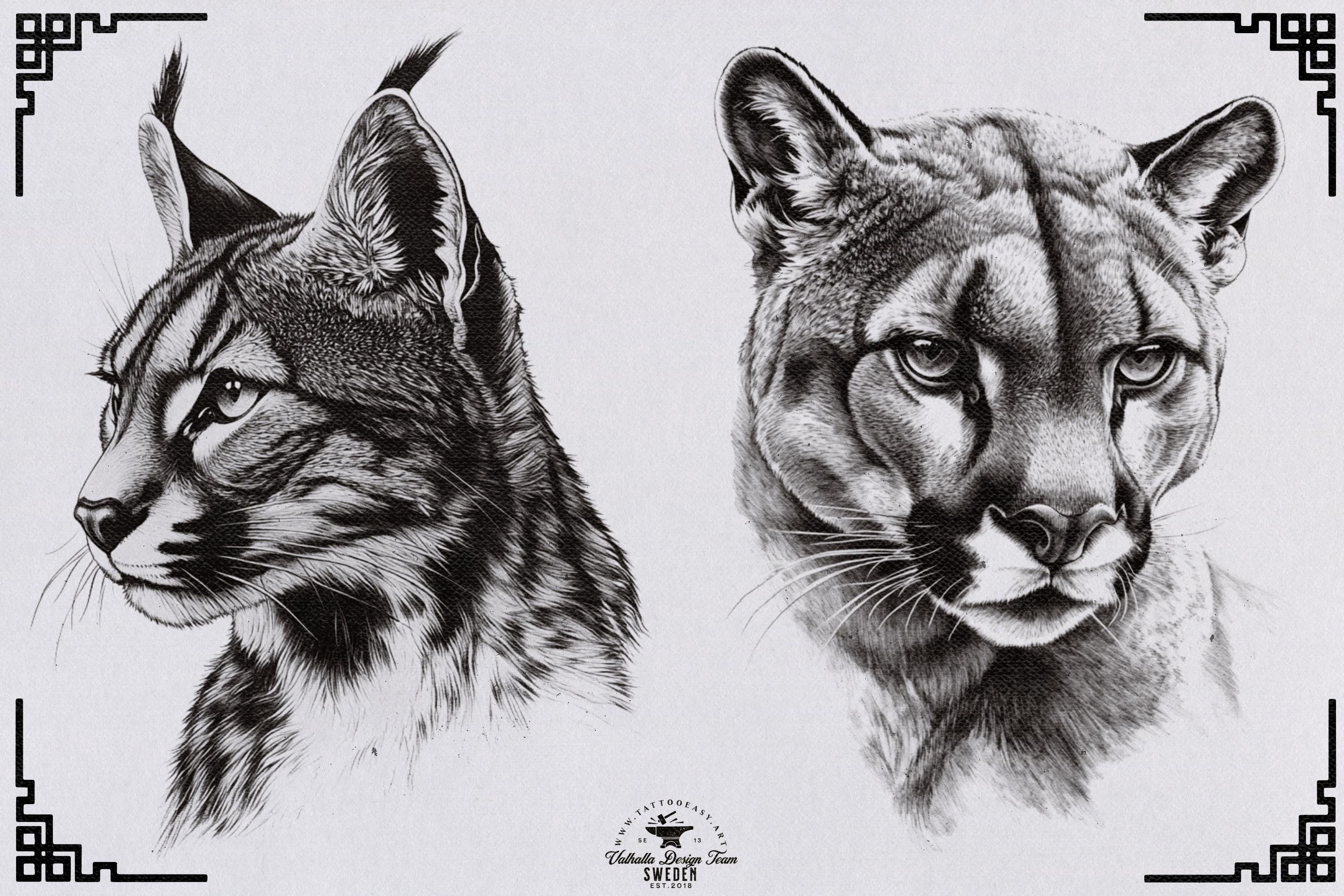 Animal Kingdom Procreate Stamps: PNG & SVG Files