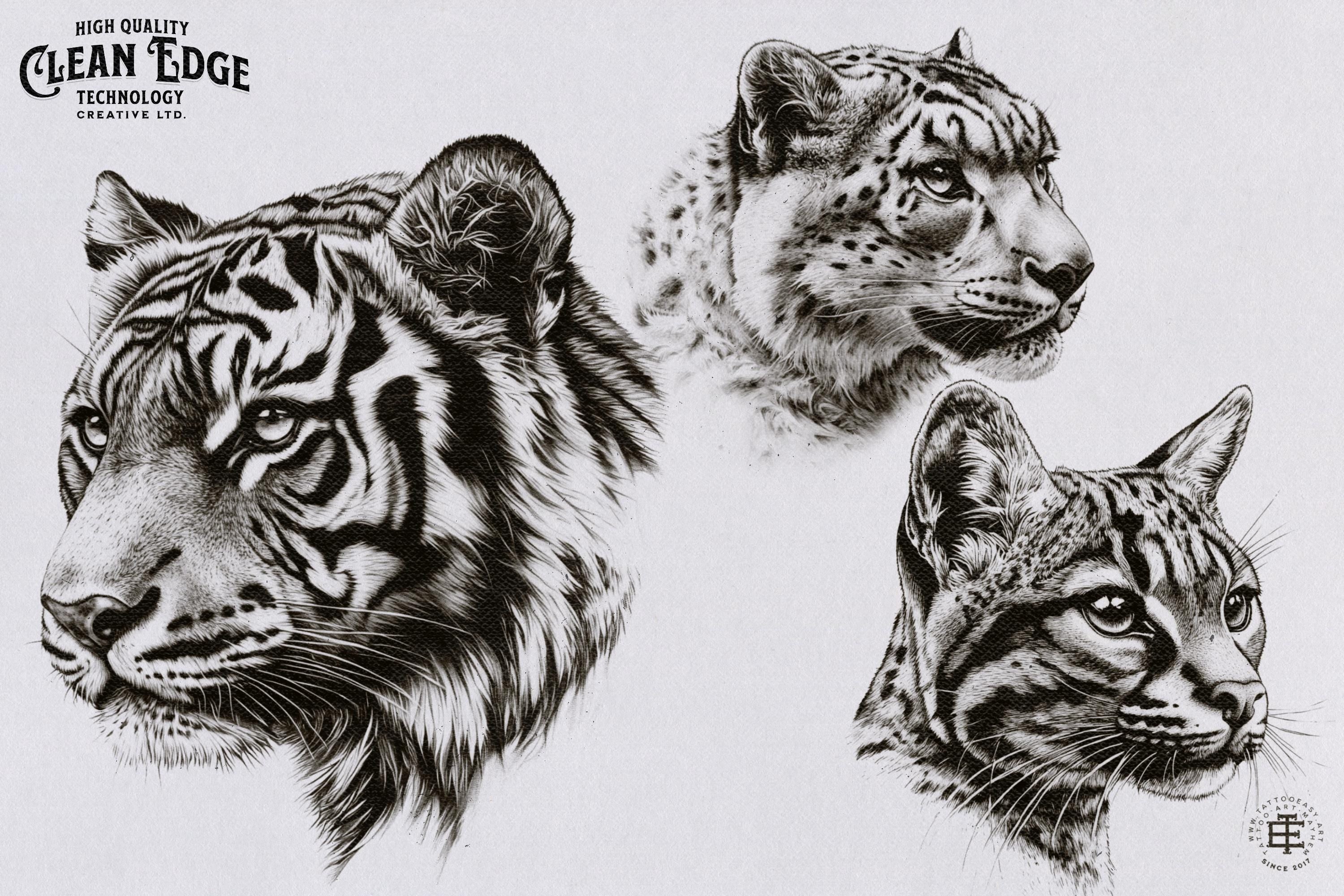 Animal Kingdom Procreate Stamps: PNG & SVG Files