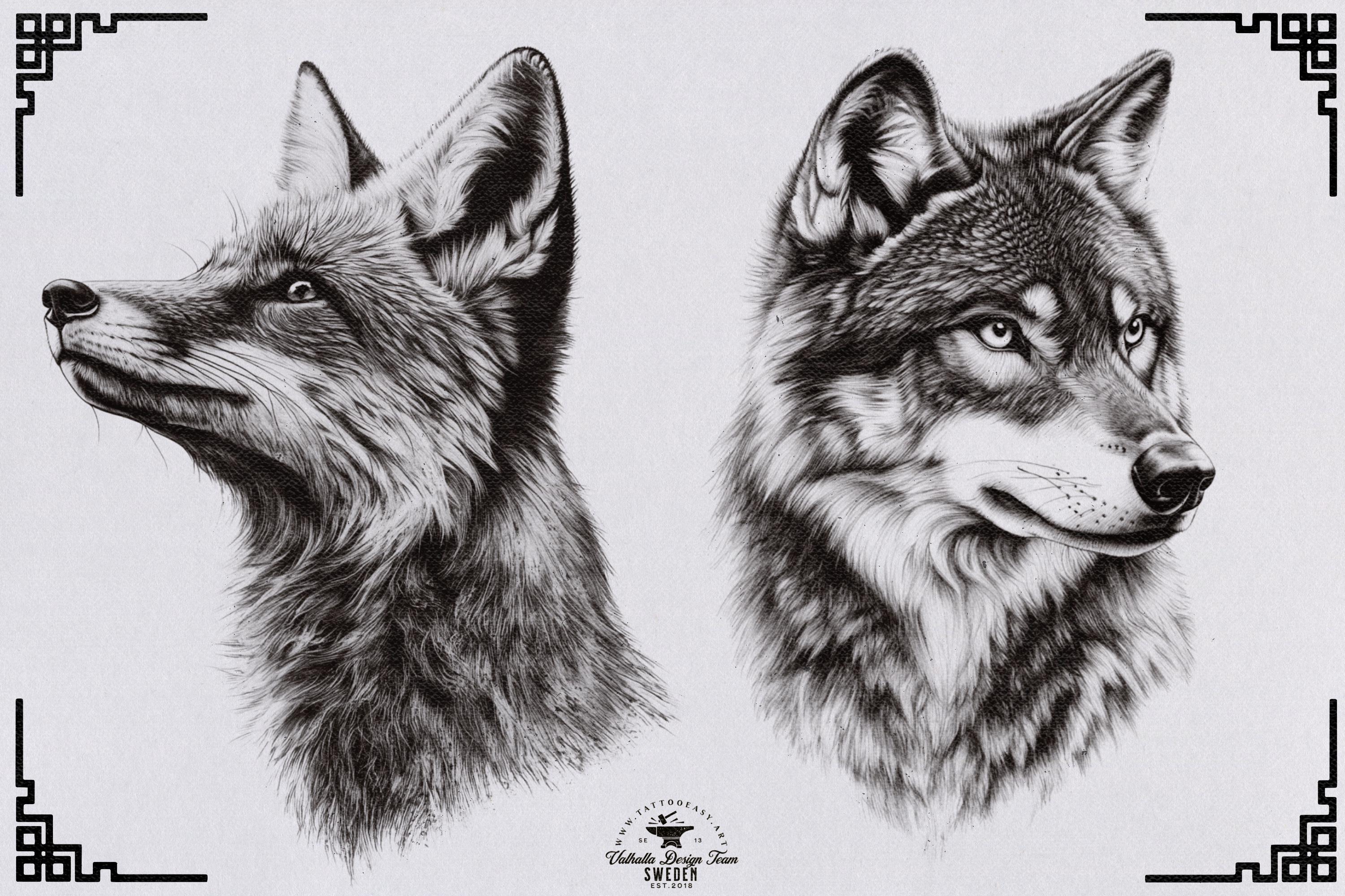 Animal Kingdom Procreate Stamps: PNG & SVG Files