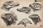 Animal Kingdom Procreate Stamps: PNG & SVG Files