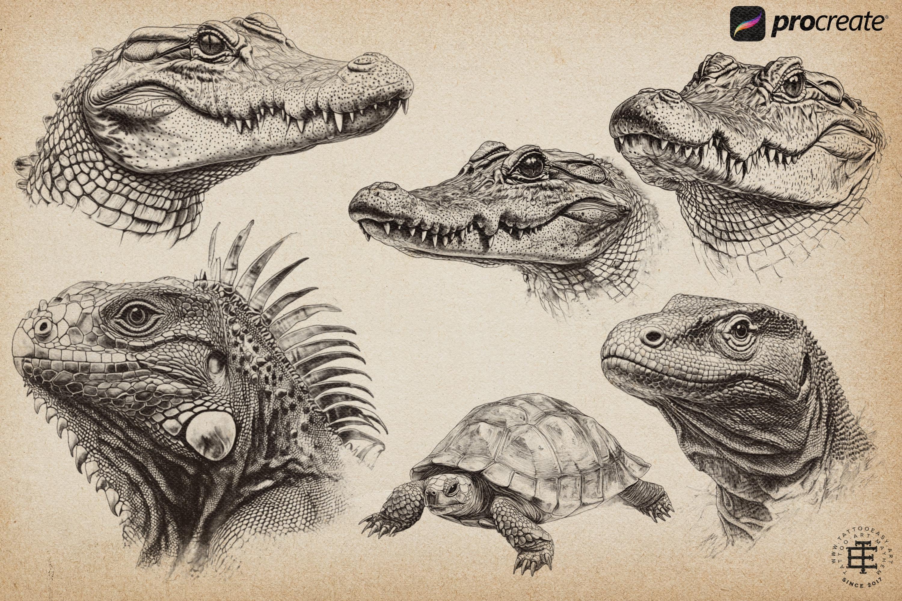 Animal Kingdom Procreate Stamps: PNG & SVG Files
