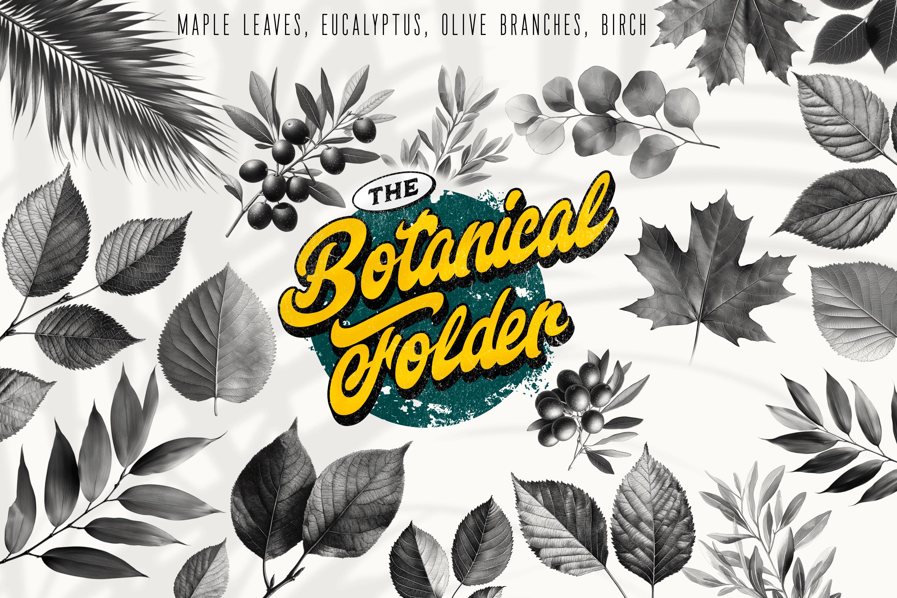 Botanical Art Bundle: 3000+ Procreate Brushes, PNG & SVG Files