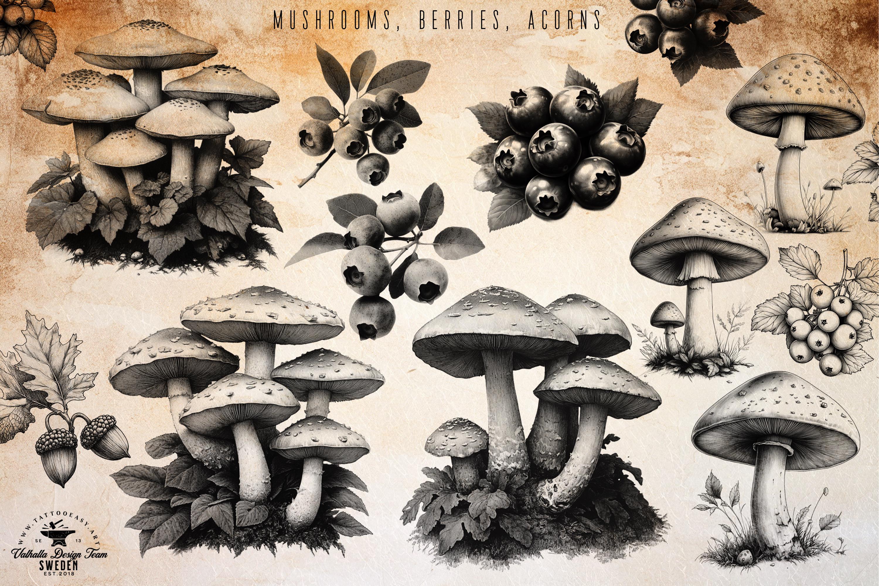 Botanical Art Bundle: 3000+ Procreate Brushes, PNG & SVG Files