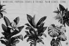 Botanical Art Bundle: 3000+ Procreate Brushes, PNG & SVG Files