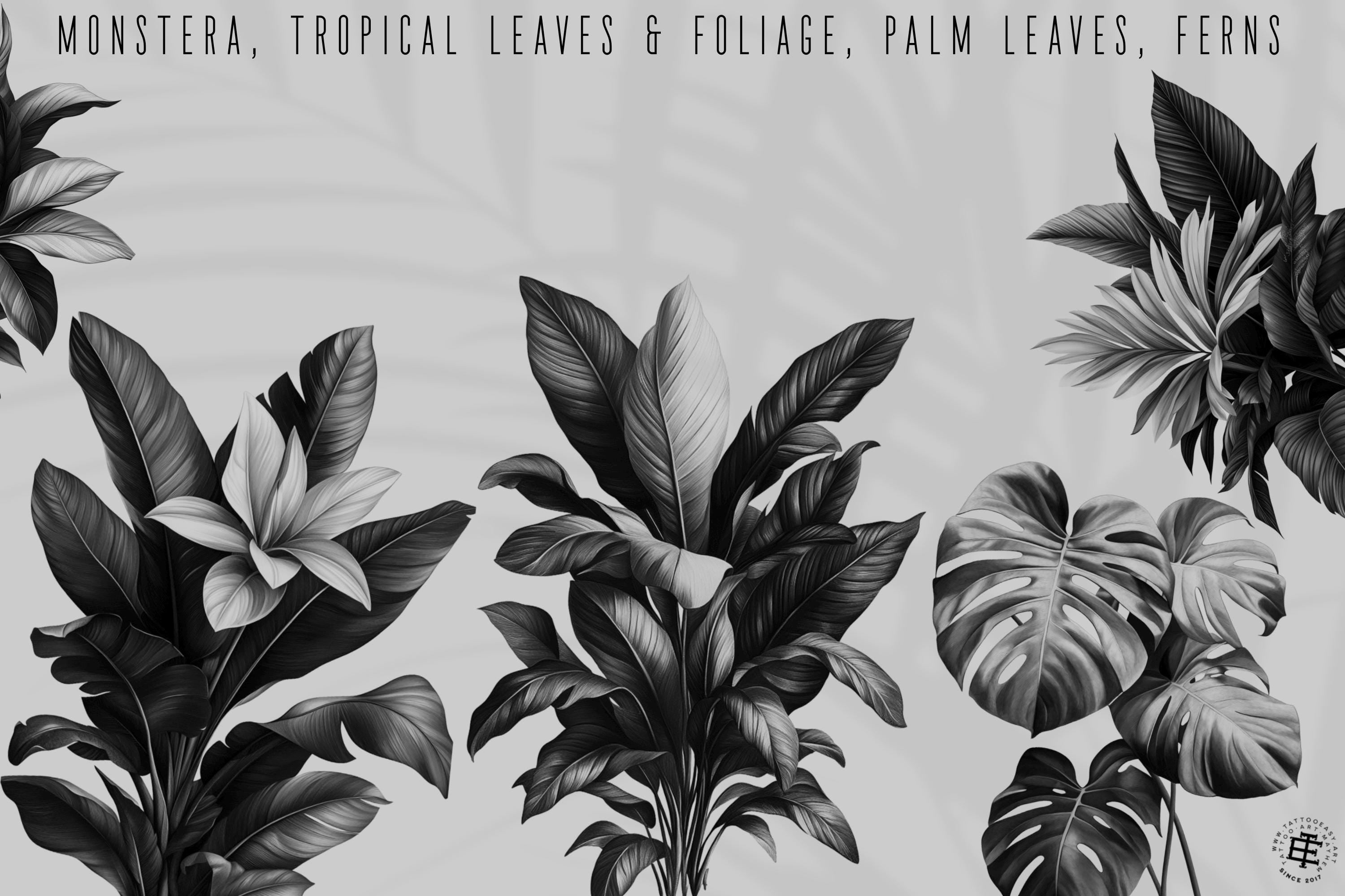 Botanical Art Bundle: 3000+ Procreate Brushes, PNG & SVG Files