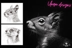 Animal Kingdom Procreate Stamps: PNG & SVG Files