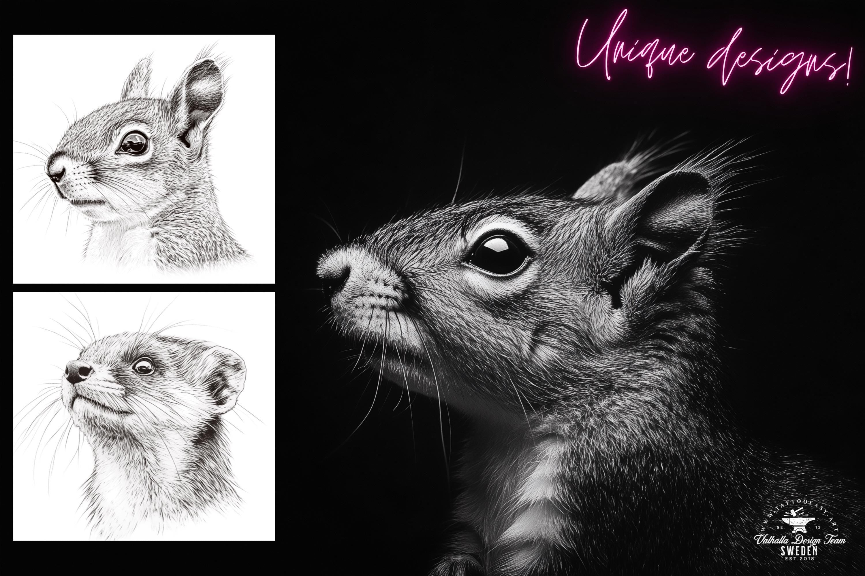 Animal Kingdom Procreate Stamps: PNG & SVG Files