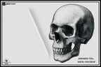 Procreate Stipple Brushes: 62 Custom Tattoo Shaders (Digital Download)