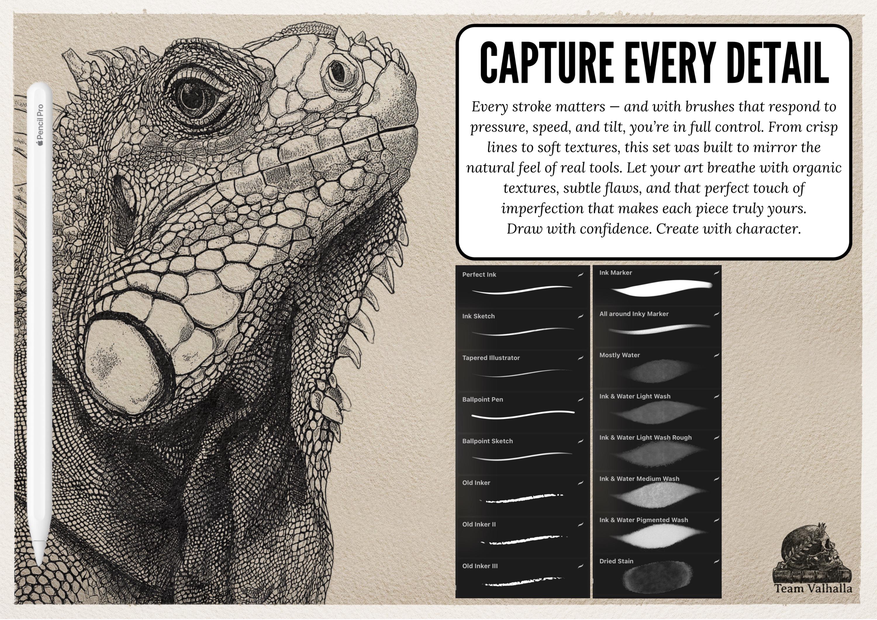 Procreate Brush Bundle: Outline Studio, Real Ink & Penmanship Brushes ( digital download )
