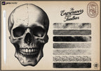 Procreate Engraving Brush Kit: 360+ Woodcut Texture Brushes & Canvas (Digital Download