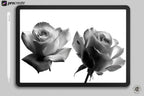 Rose Realism Procreate Stamps: 100+ Rose PNG Clipart, Artist Reference Library