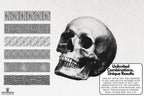 Engraving Photoshop Brushes: 100+ Custom Textures Bundle