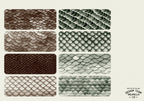 Scale Brushes & Textures ~ Texturemania ~ custom brushes for Procreate