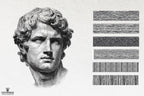 Engraving Photoshop Brushes: 100+ Custom Textures Bundle