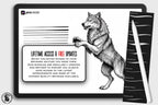 Procreate Brush Bundle: Outline Studio, Real Ink & Penmanship Brushes ( digital download )