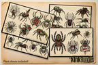 Traditional Spiders - custom art | digital download | Tattoo Stencils | Flash designs