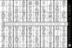Procreate Tattoo Stamp Brushes, Traditional ladies vol.2 ~ 70 designs