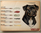 Tattoo Flash Brush Set: Watercolor, Spitshade, Ink, Paper Textures, digital download